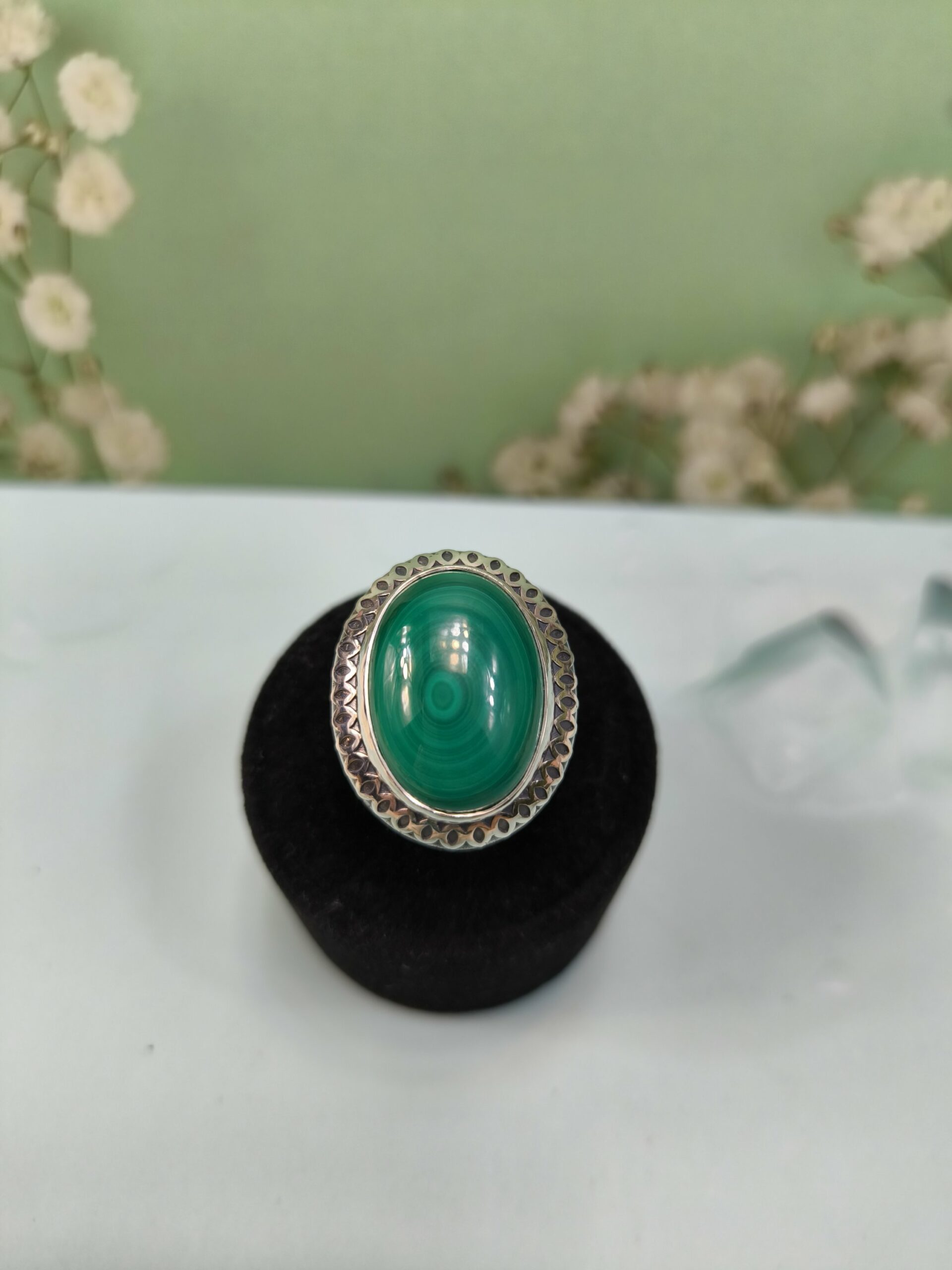 Кольцо Змейки. #16.5