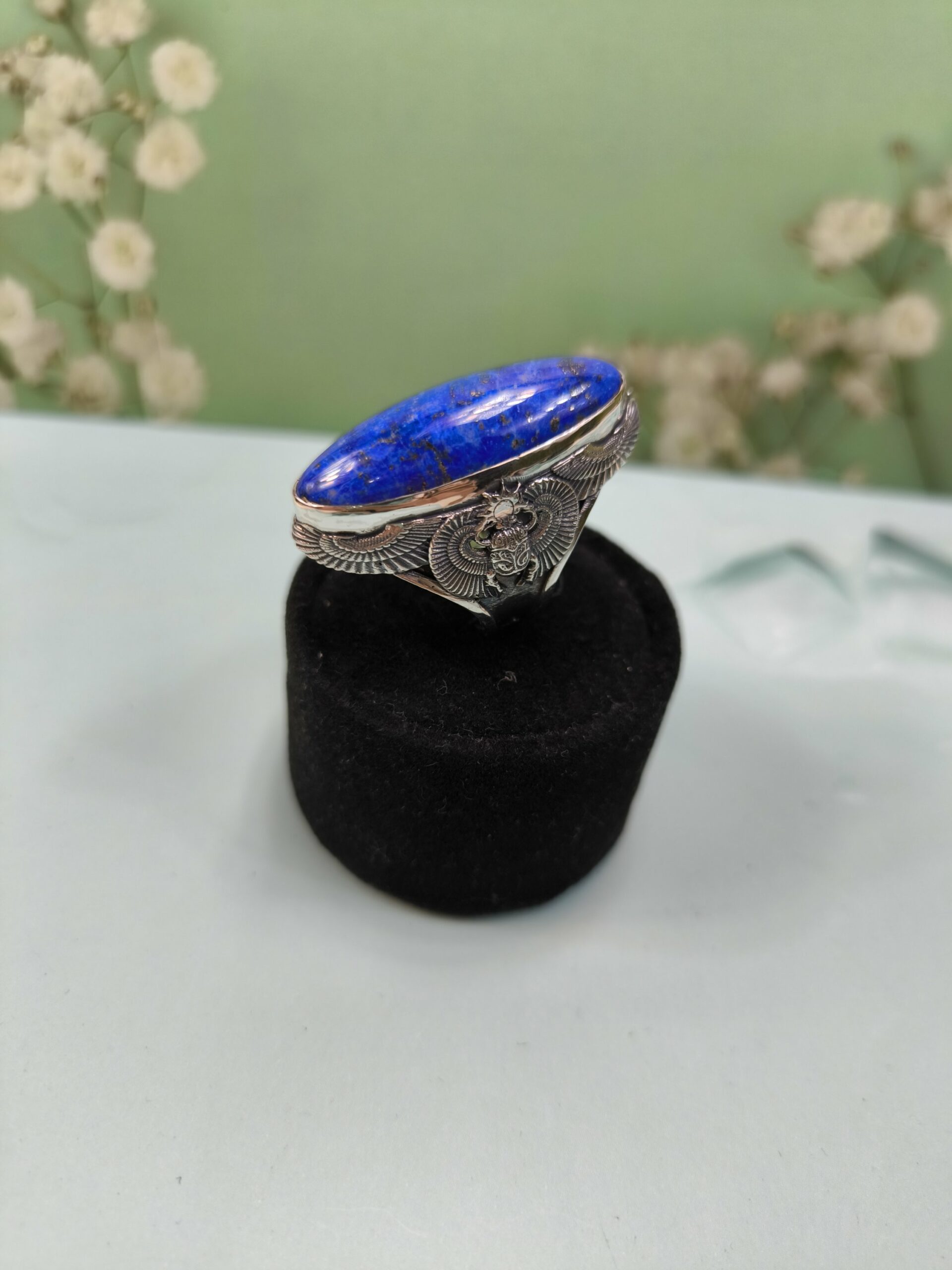 Скарабеи #19