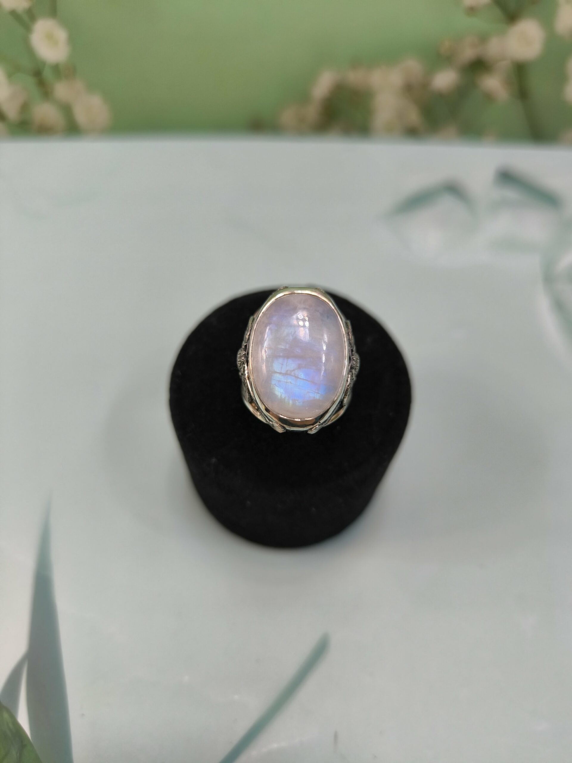 Скарабей #18.5