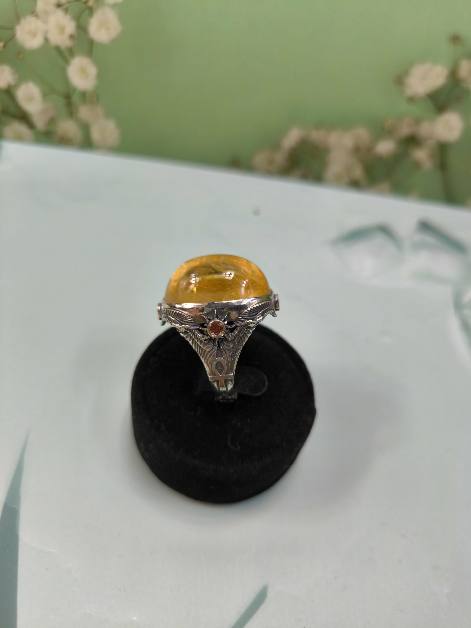 Скарабеи #19