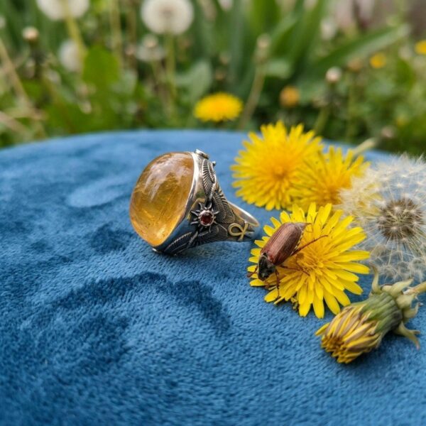 Кольцо “Крылья Скарабея” #19